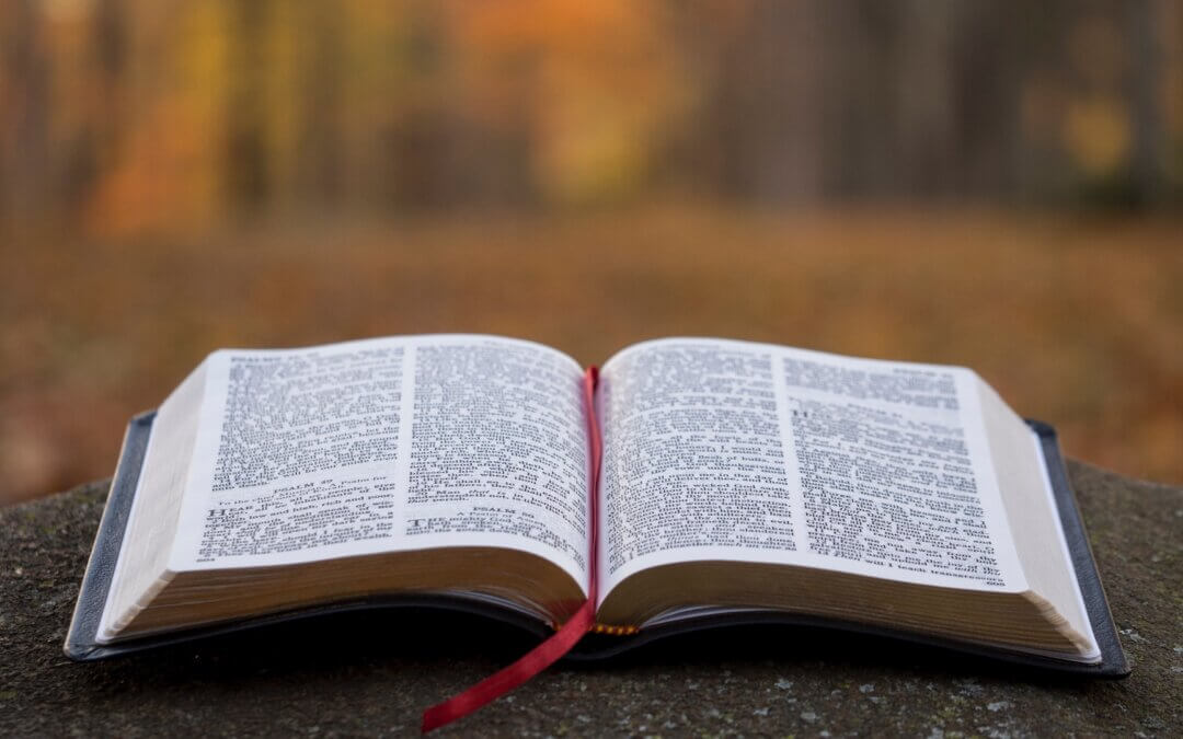 Lectio Divina Meditation Every Tuesday